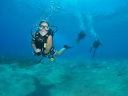 Camel Dive Club - PADI Open Water in Naama Bay